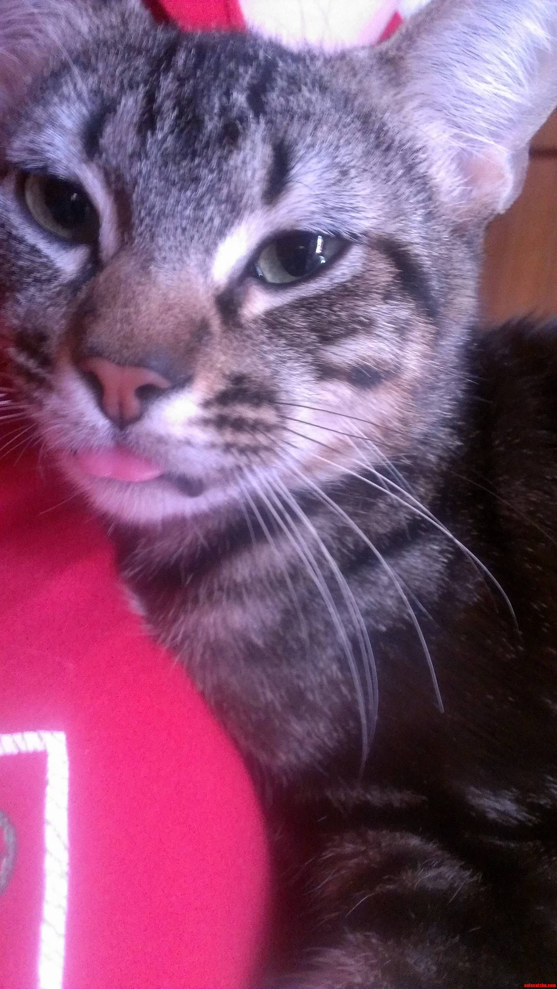 Our Sweet Little Derp Cosco.