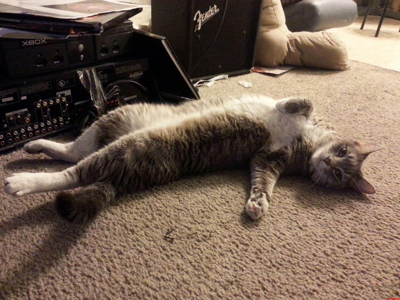 Paint Me Like One of Your French Girls