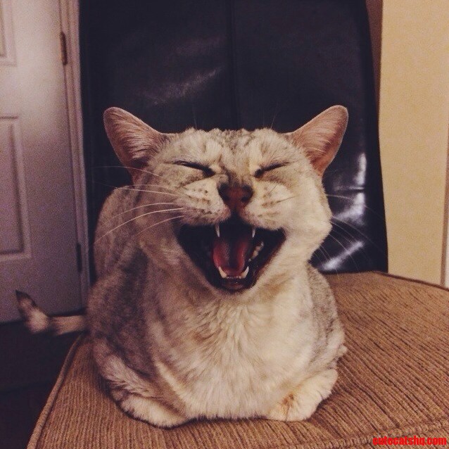 Penny Singing a Song.
