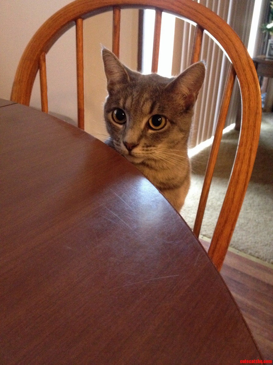 Phoebe Thinks Shes Human