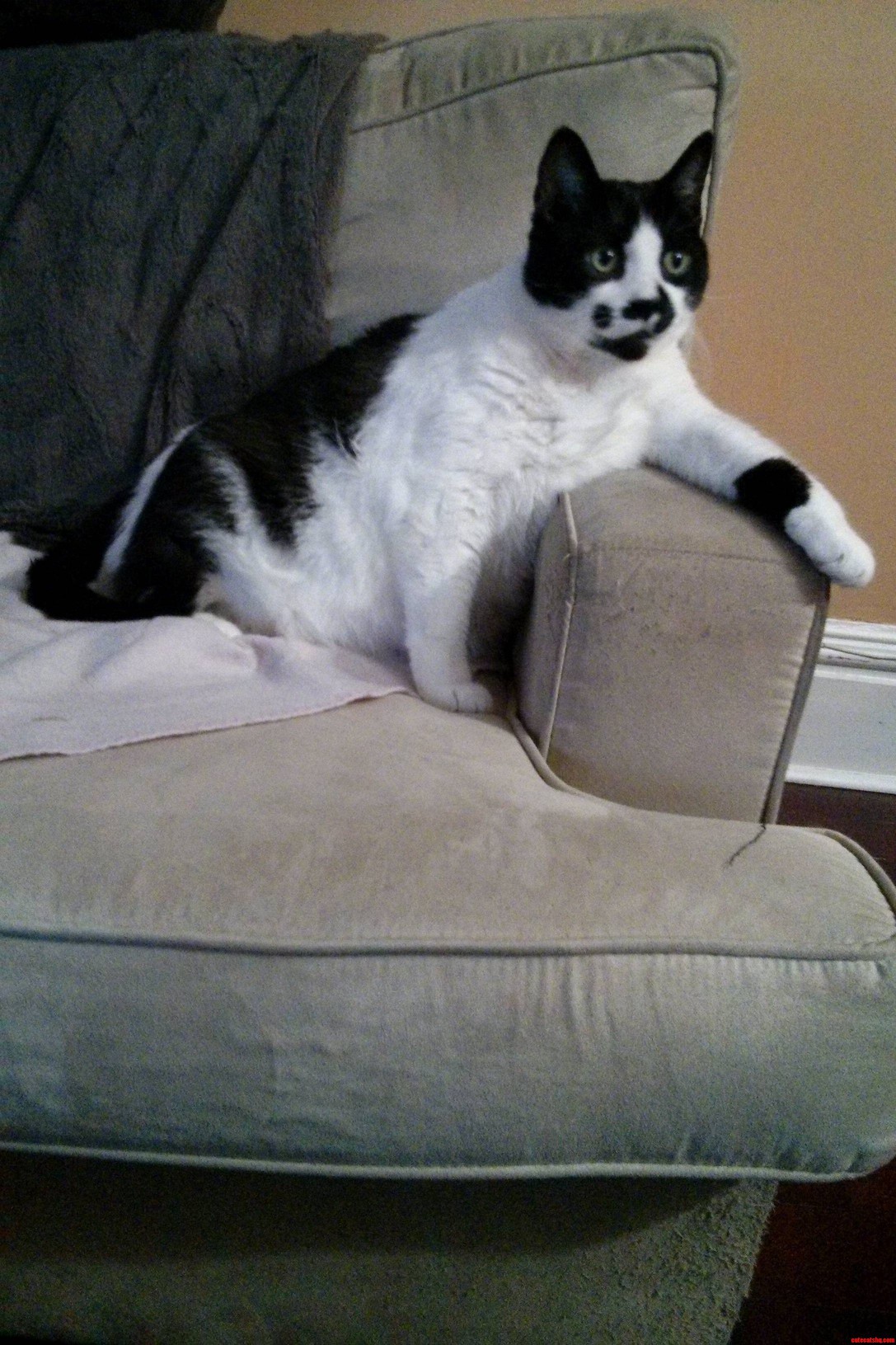 Pondering Benny