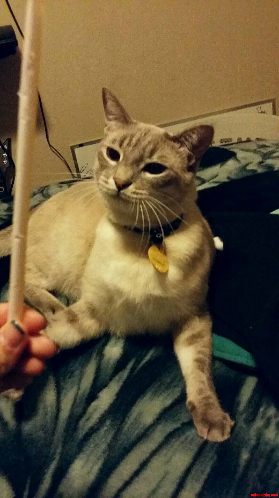 Pre-attack Face