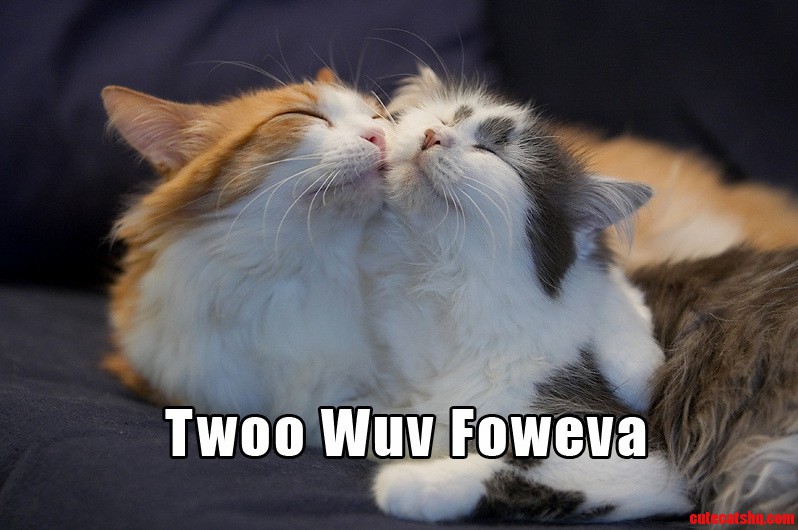 Princess Bride Cats