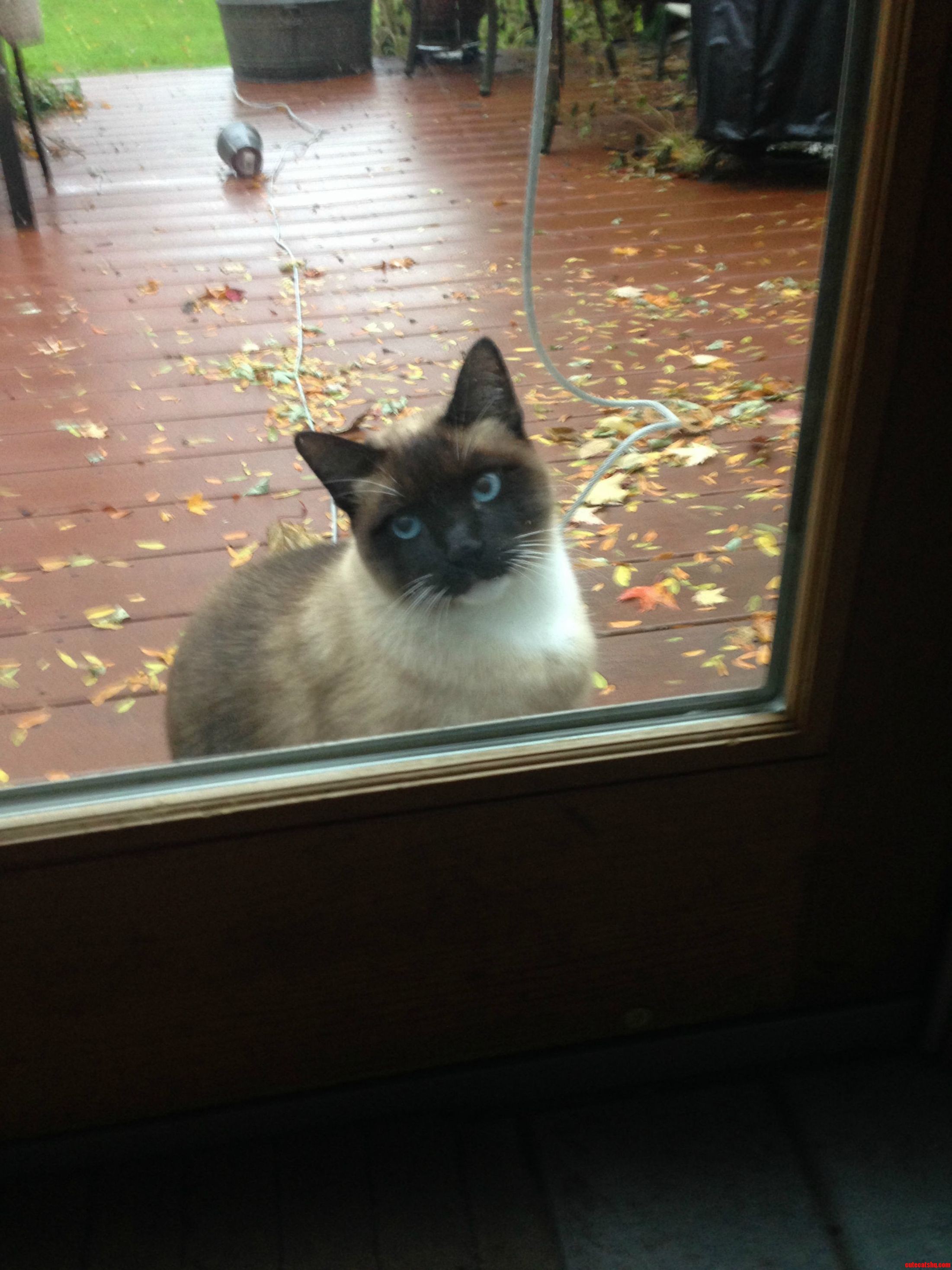 Quit Playing Around. Let Me In.