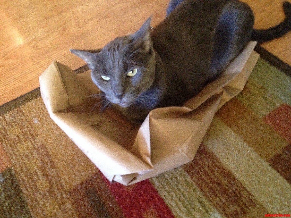 Recycled the Box. Floyd Had to Improvise Not to Happy About It.