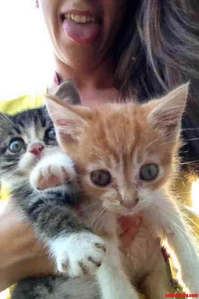 Rescued These Two Out of a Ditch the Day Before a Huge Rainstorm.