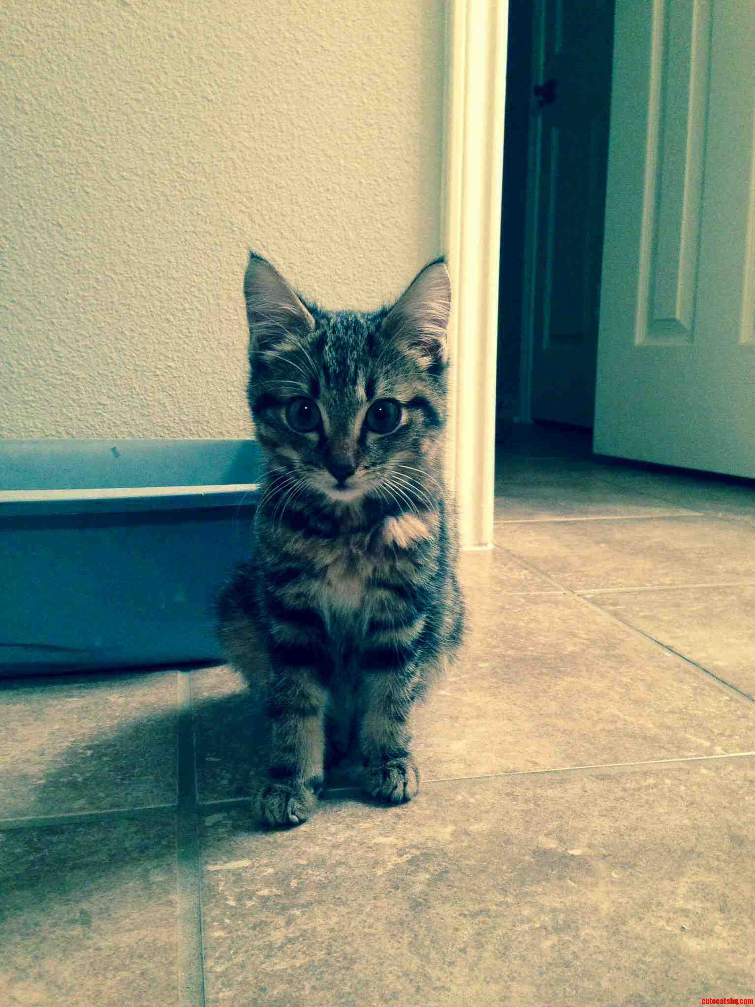 Rescued This Little Guy from the Freezing Cold. Meet Jack
