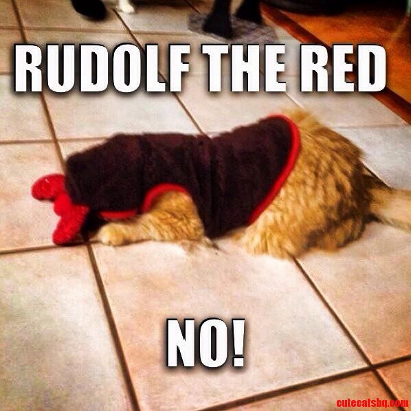 Rudolf the Red....no Oc