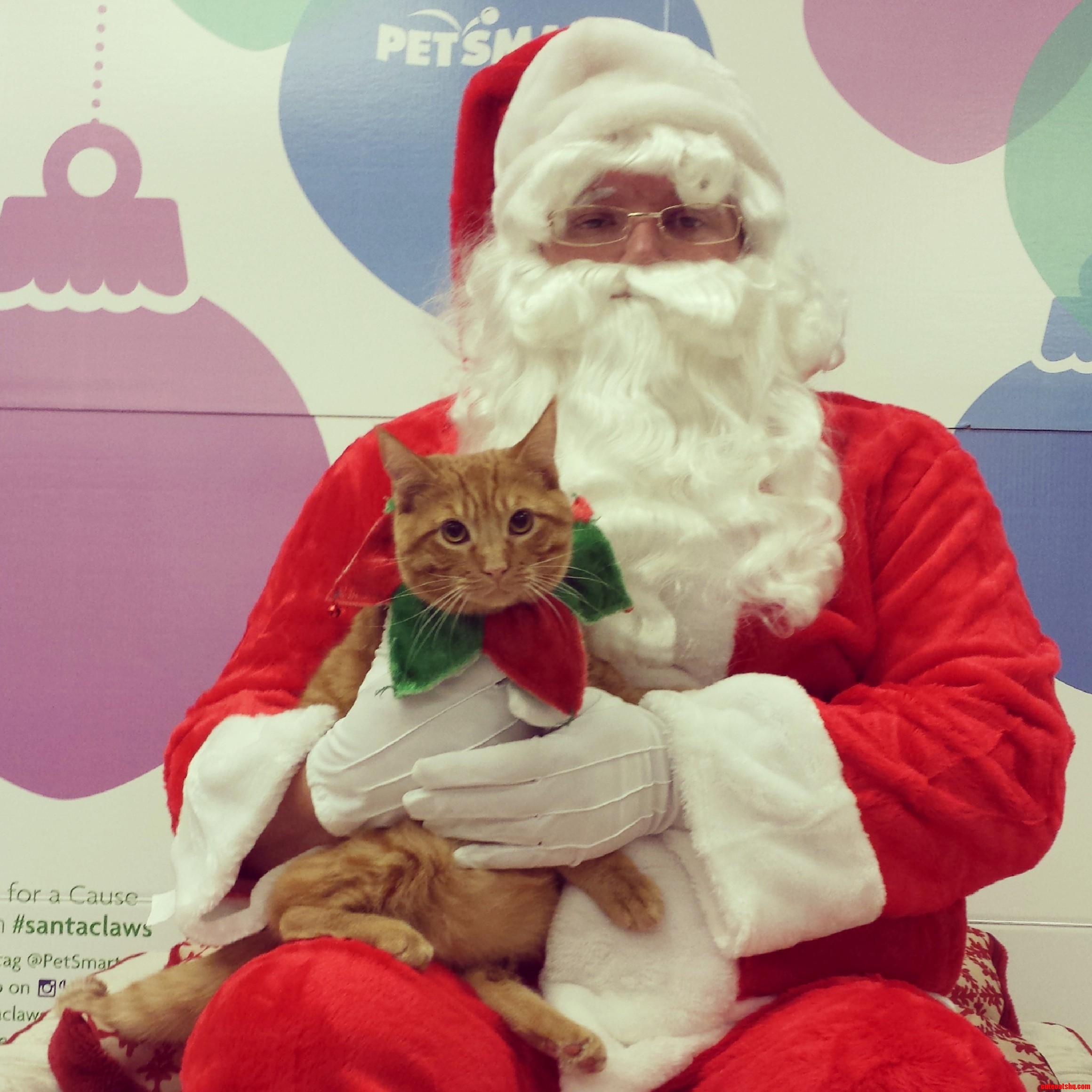 Santa Claws