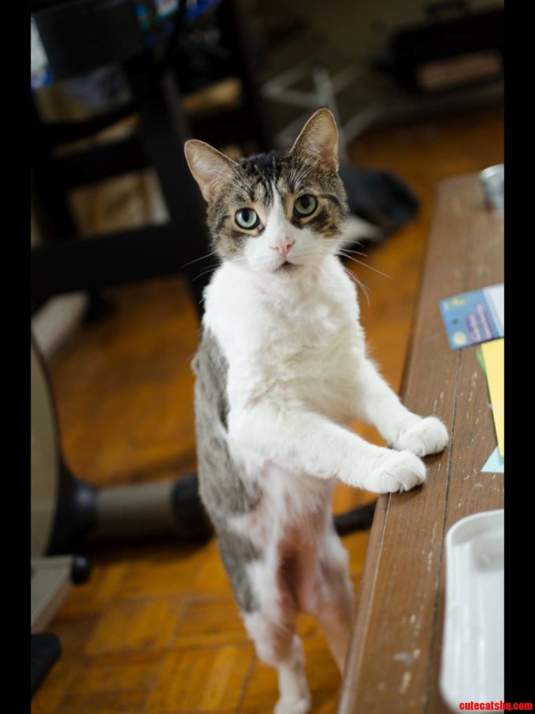 Shaved and Scruffy but Still a Handsome Old Guy. Photo by Tim Blodgett