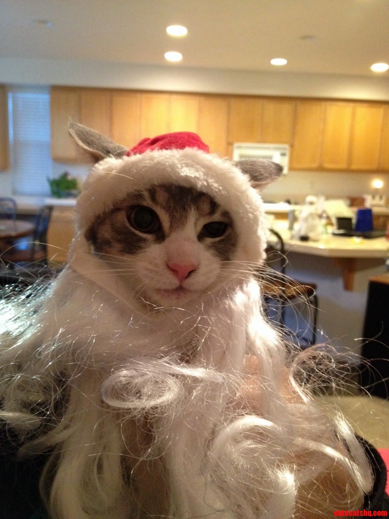 She Doesnt Seem Too Thrilled About Christmas.