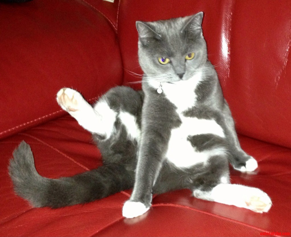 She Is Such a Lady...