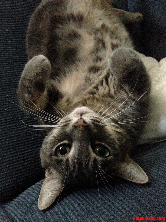 She Laid Here and Just Stared at Me Like This