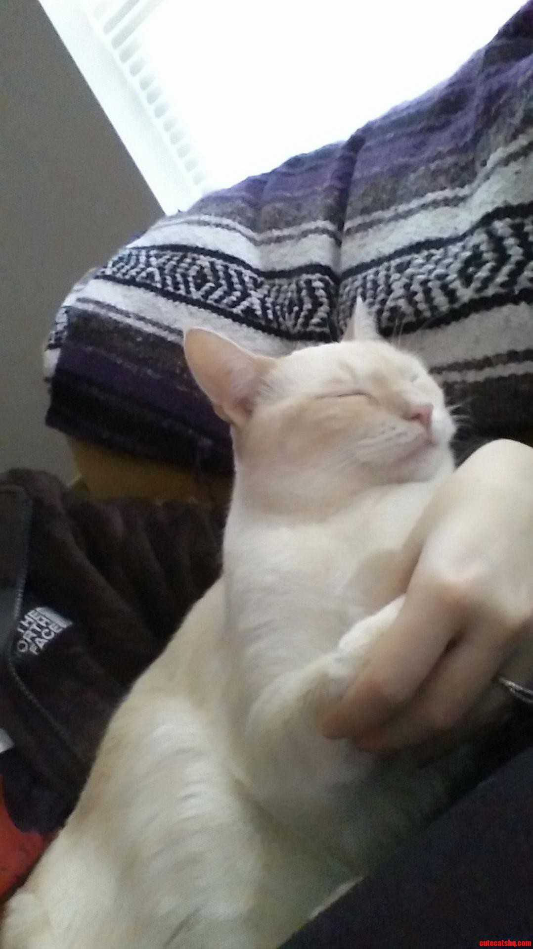 She Never Cuddles with Me Right When She Does I Have to Pee