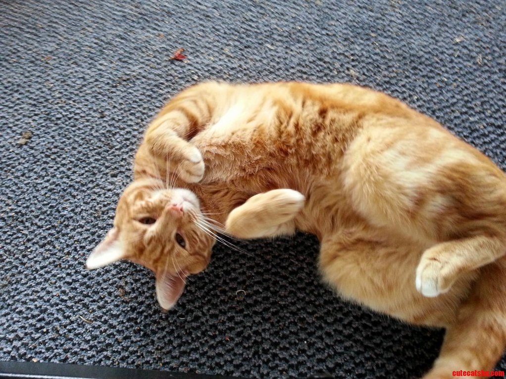 She Spends More Time Here Than at Her Original Owners. I Call Her Sphincter.