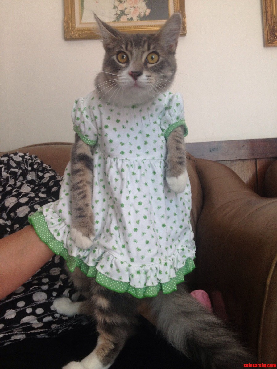 Shoshanna in a Dress...