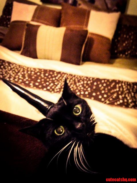 Sir Henry Longshanks Iii Enjoying His New Evil Unicorn Horn
