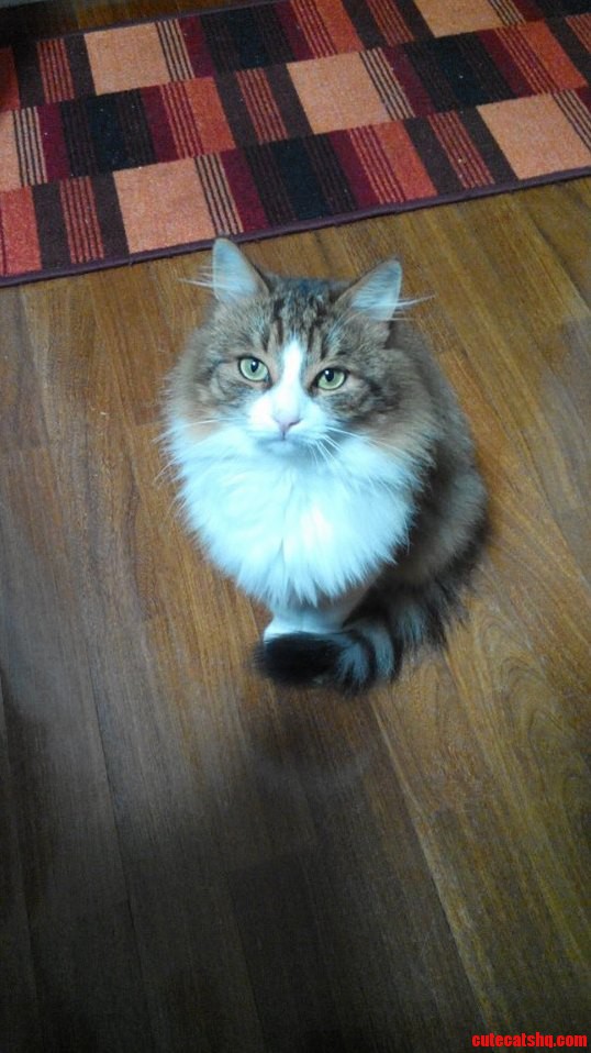 Sir My Bowl Is Empty.