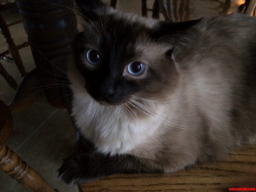 Sitting Like a Gentleman.