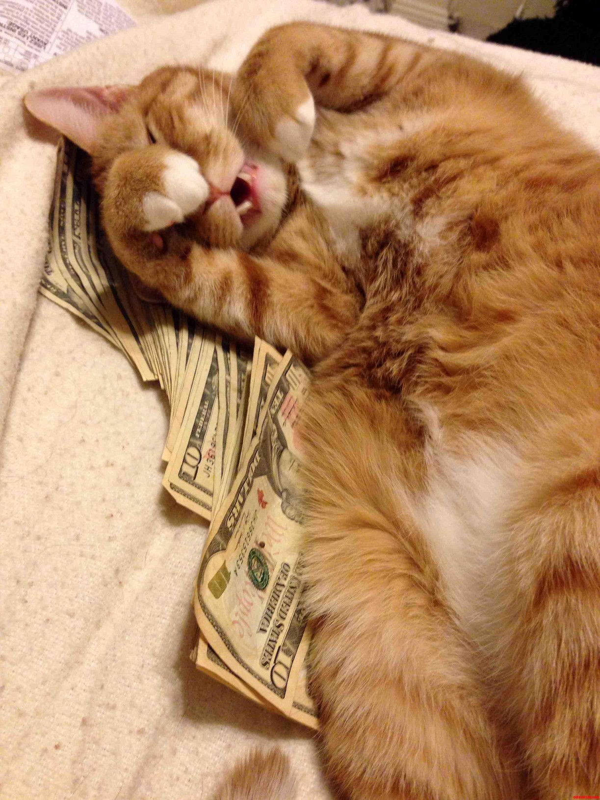 Snacks Scrooge Mcducks All Over My Xmas Bonus
