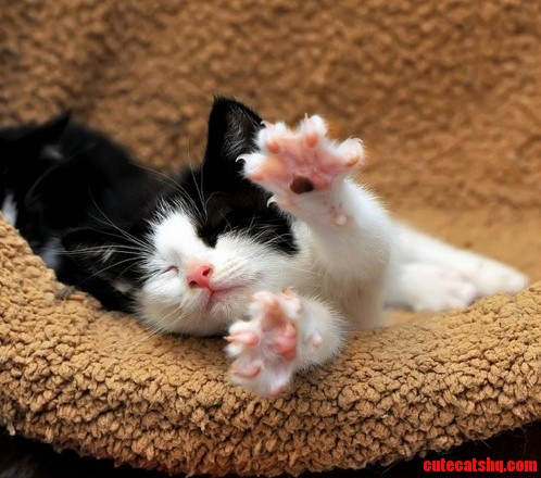 So Sleepy