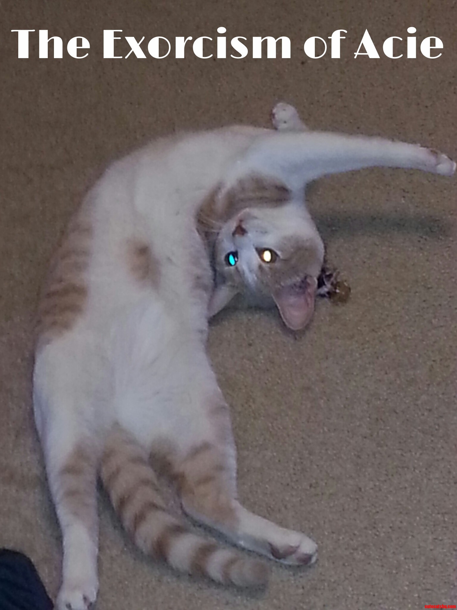 So Whatcha Doing Me Oh Nothing Just Being Possessed by a Demon Is All.