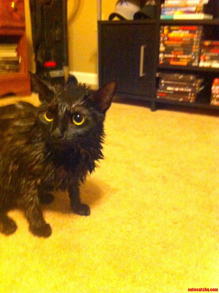 Somebody Doesnt Like Baths.
