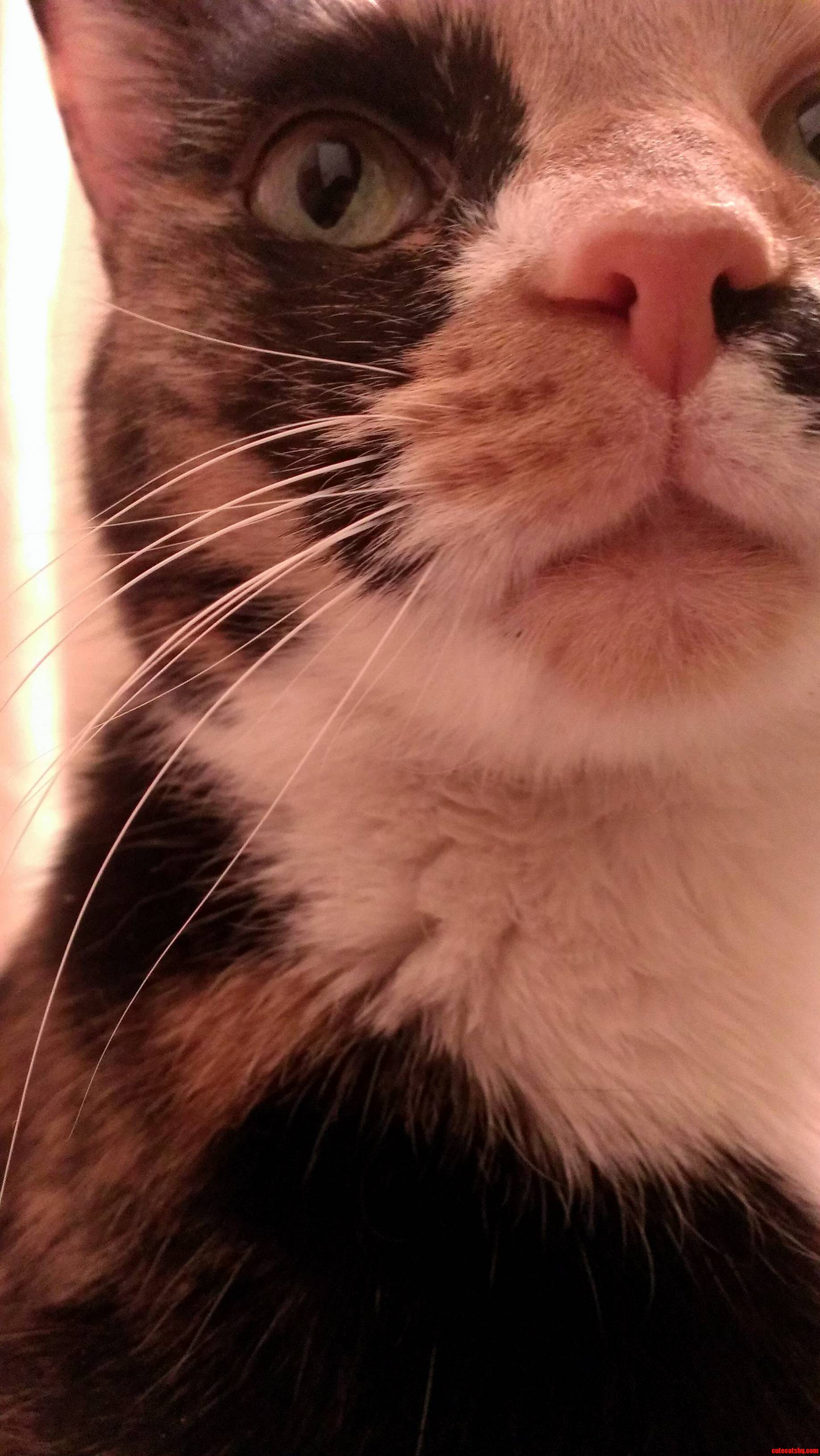 Someone Is a Bit Photogenic...