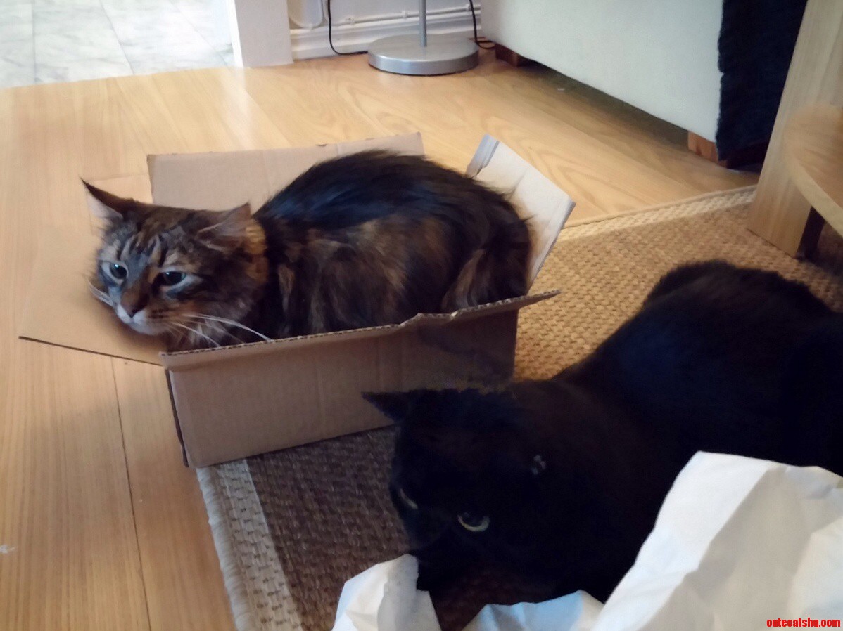 Sorry Only Room for One.