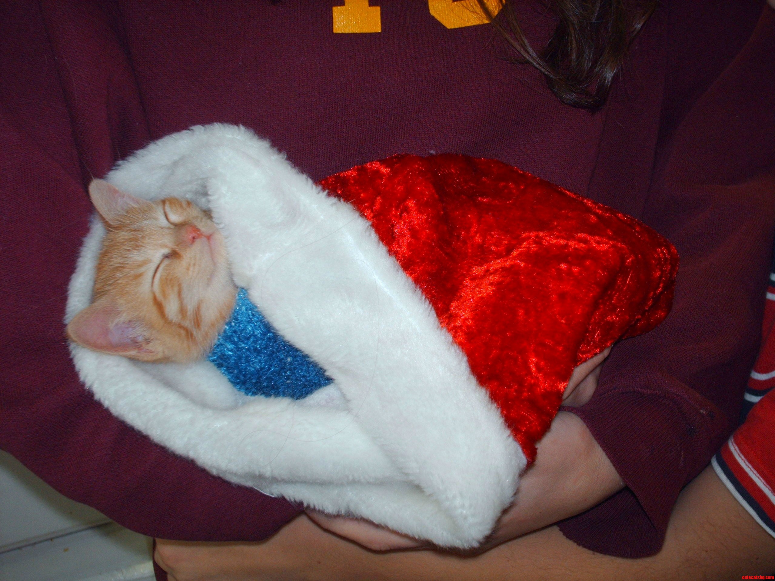 Stocking Stuffer