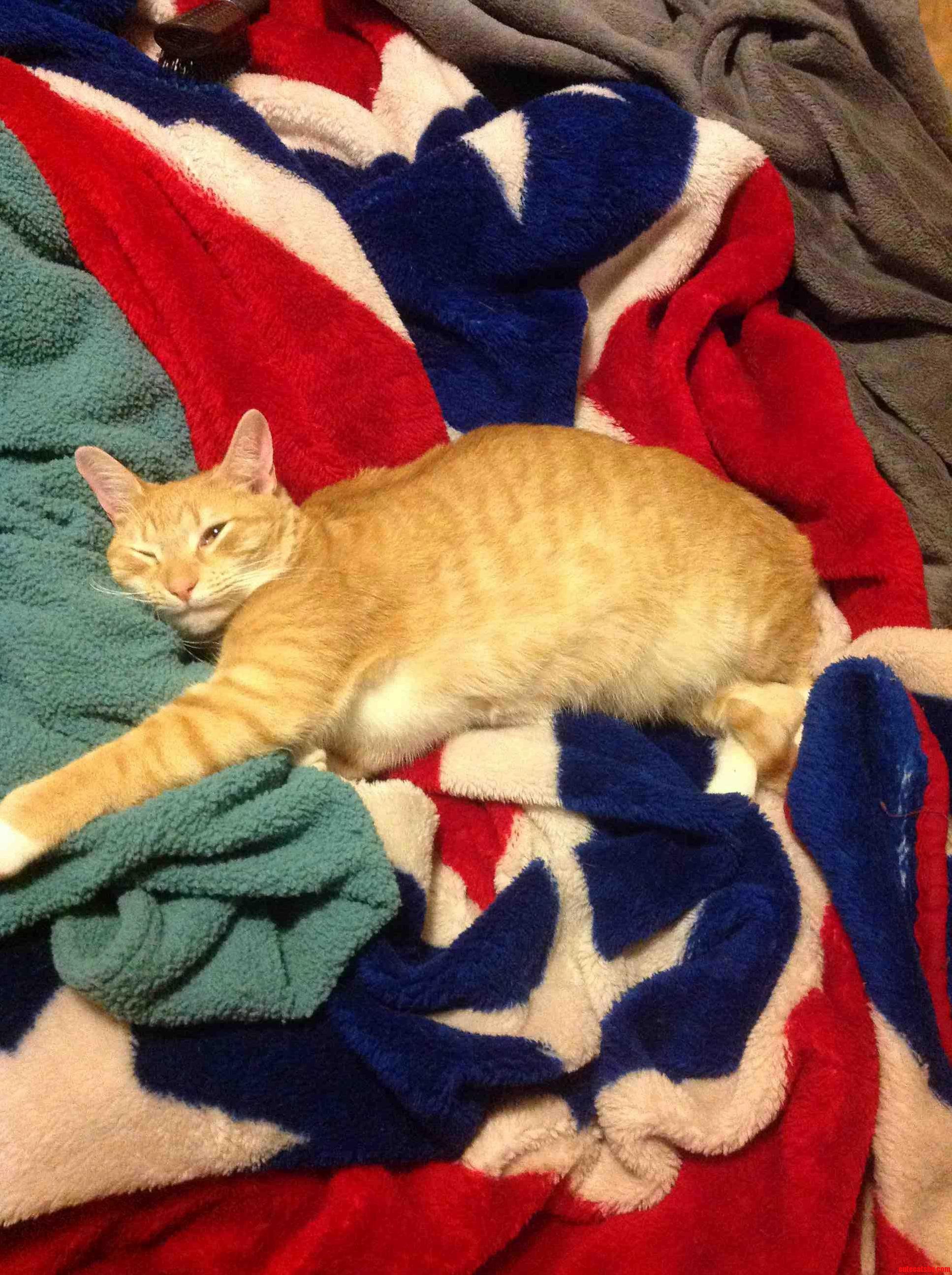 Such a Hard Life