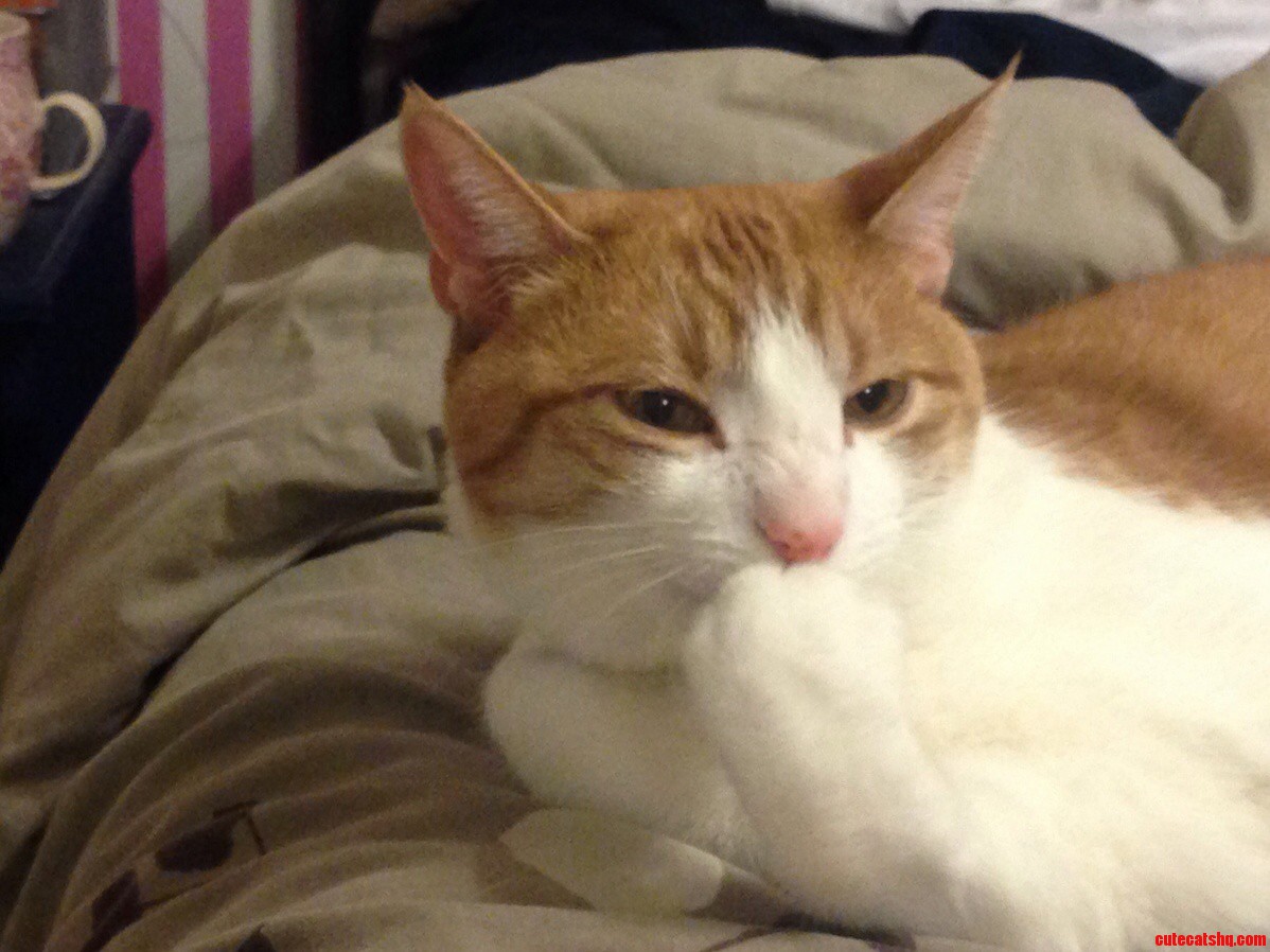 Such a Thinker