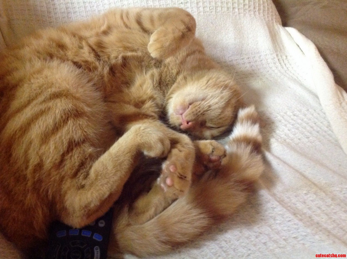Such a Tough Life