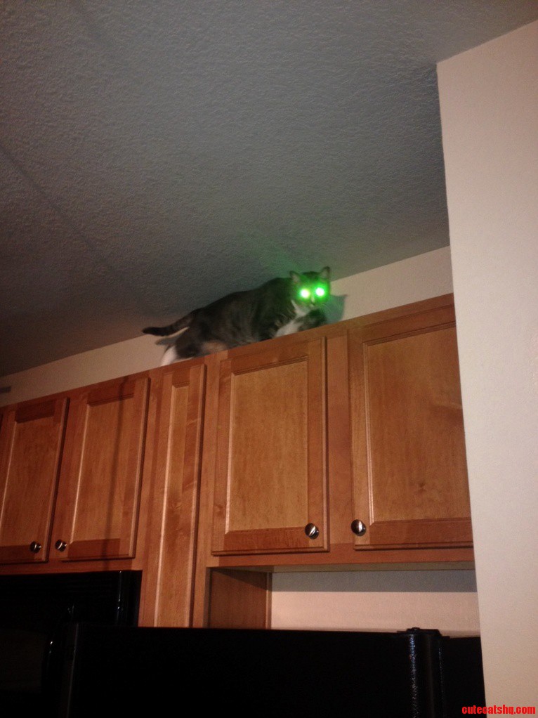 Take Me to Your Leader.