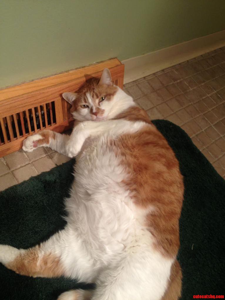Teddy Roosevelt on a Cold November Evening