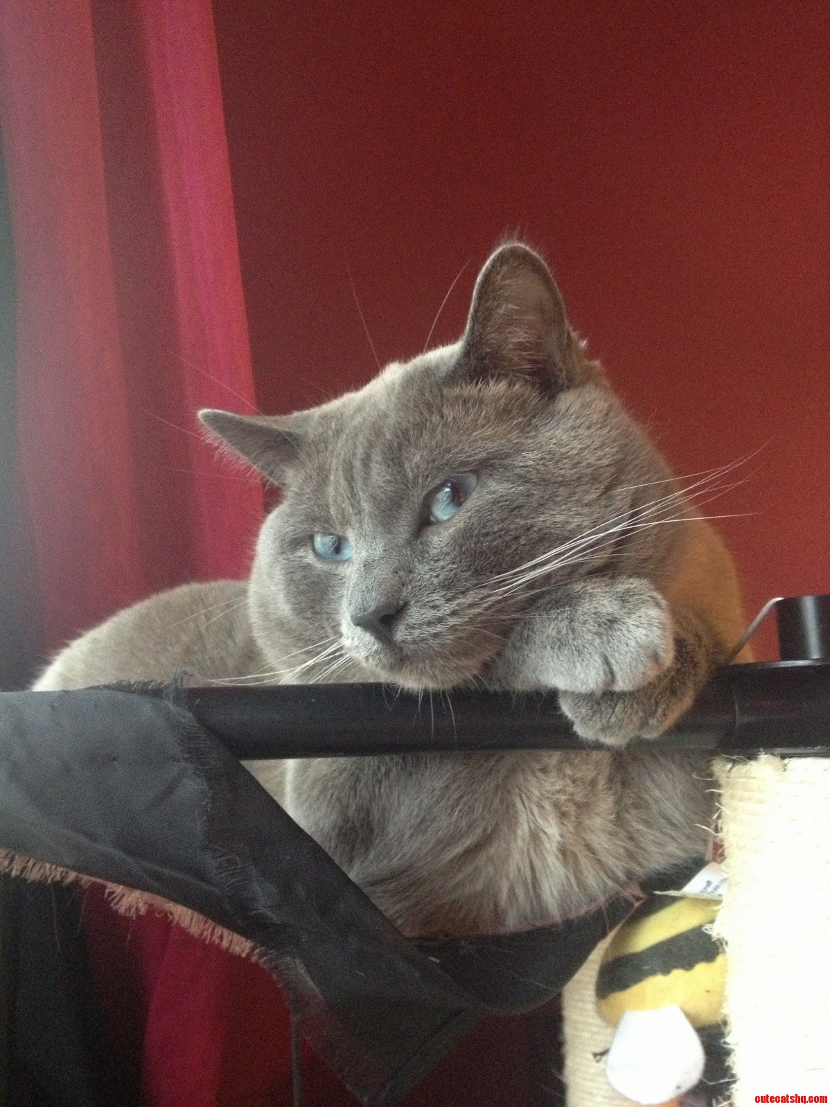 Tell Me More About How You Think Youre Better Then Me Human.