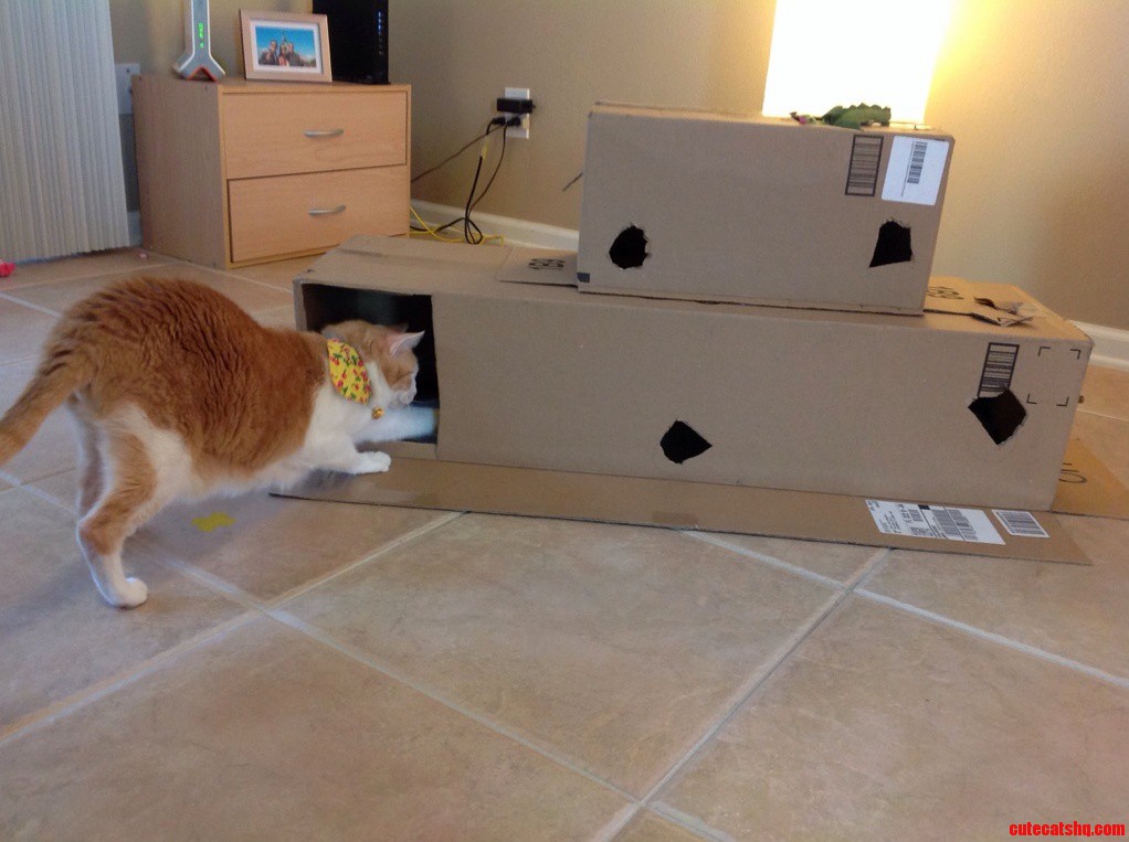 Thank You Amazon