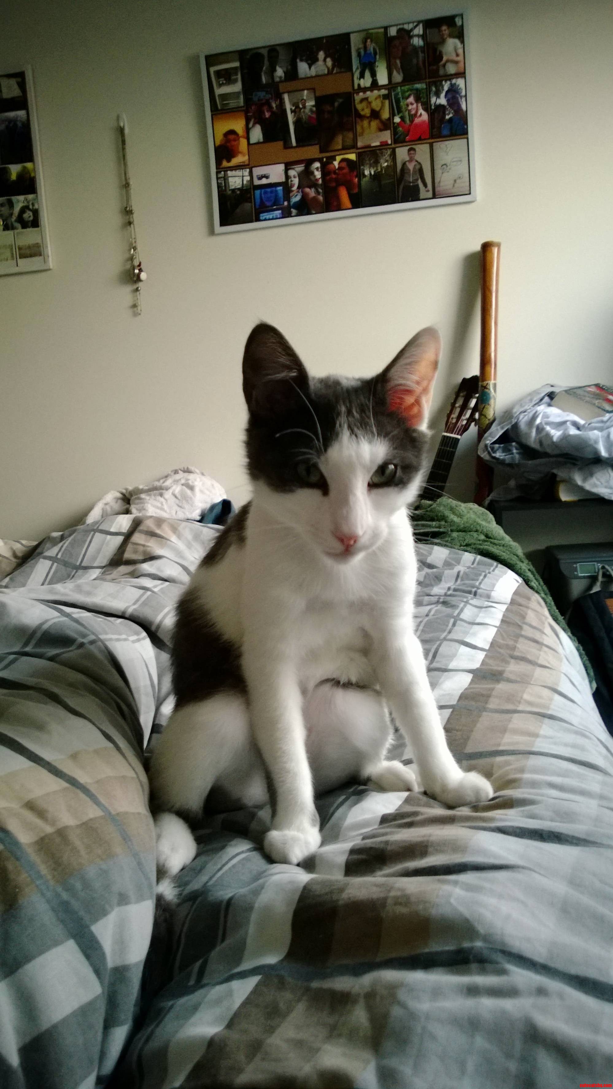 That Look Though. Whenever I Accidentally Wake Him Up...