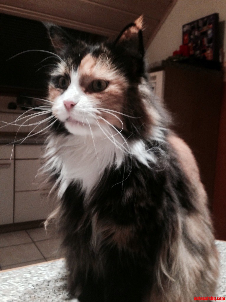 Thats My Cute Girl Meet Philou