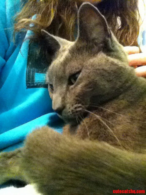 The Awkward Moment When Nico Likes to Sit on My Lap While Im Sitting on the Toilet.
