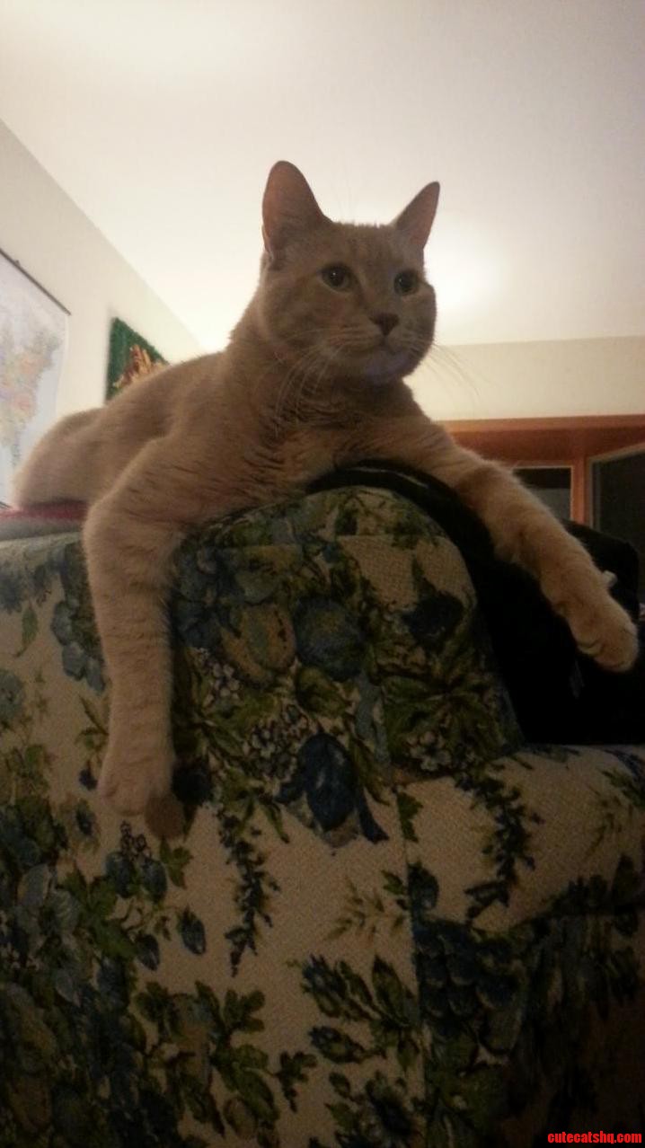 The King Overlooking His Kingdom