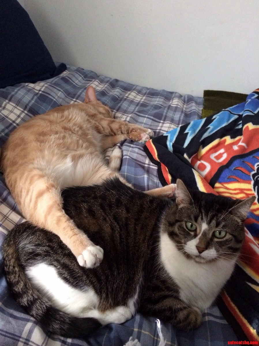 The One on the Right Is a Classy Lady the Other Is a Lovable Jerk