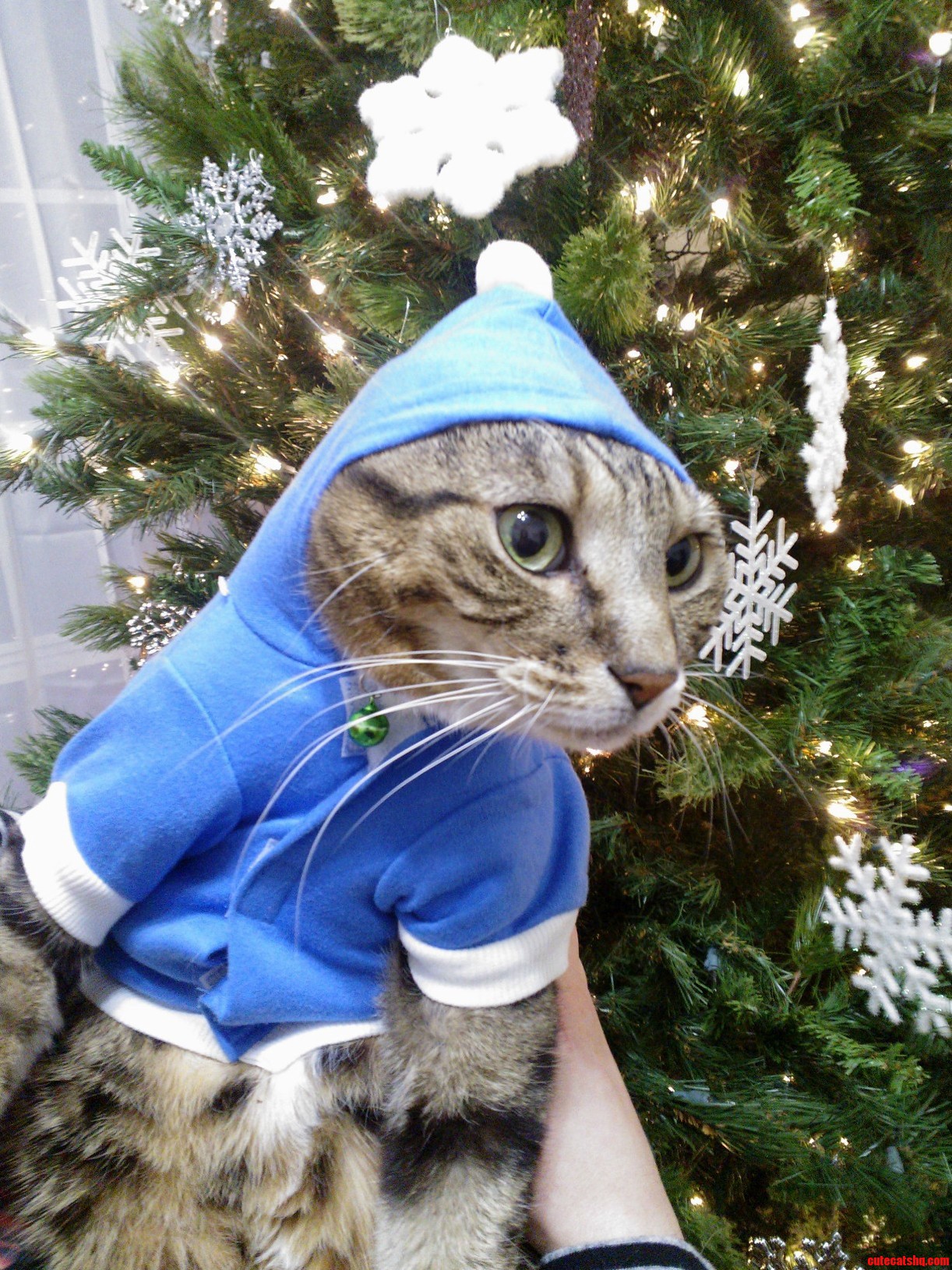 The Perfect Picture for Our Holiday Cards This Year.