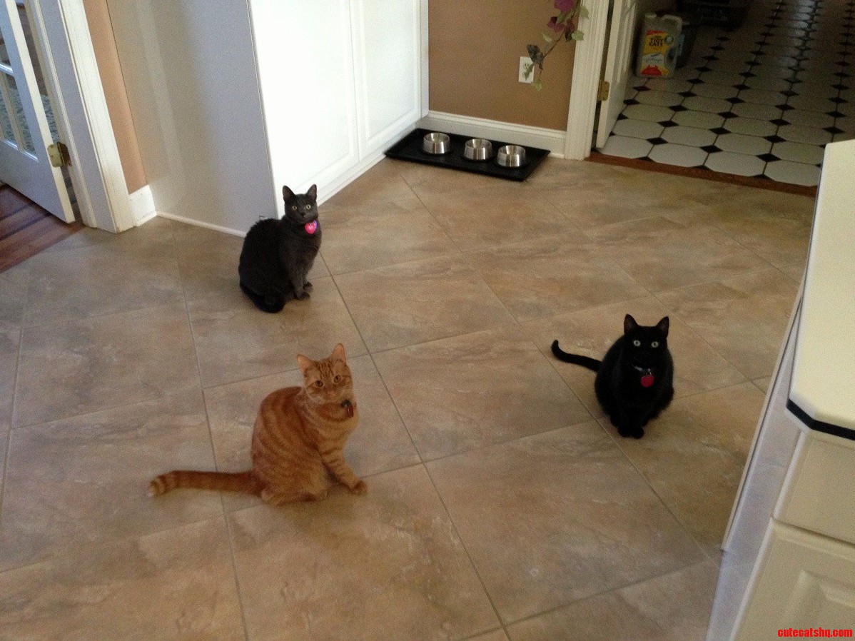 The Three Musketeers