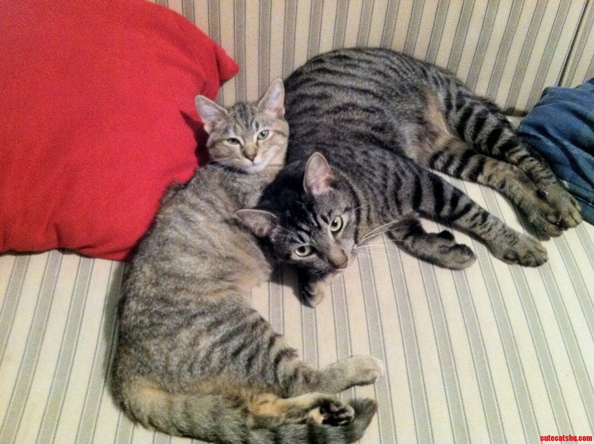 They Hated Each Other at First but 2 Days Later And...