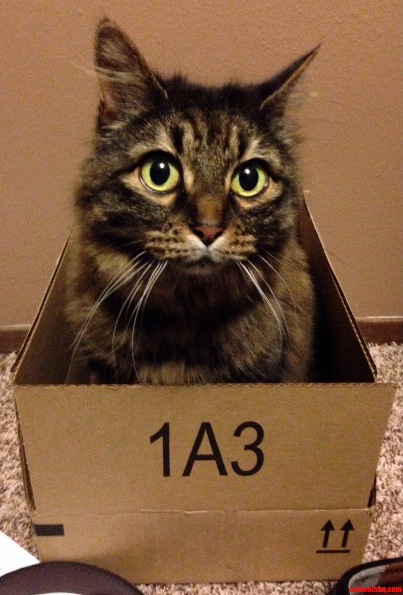 This Is My Box. There Are Many Like It but This One Is Mine.