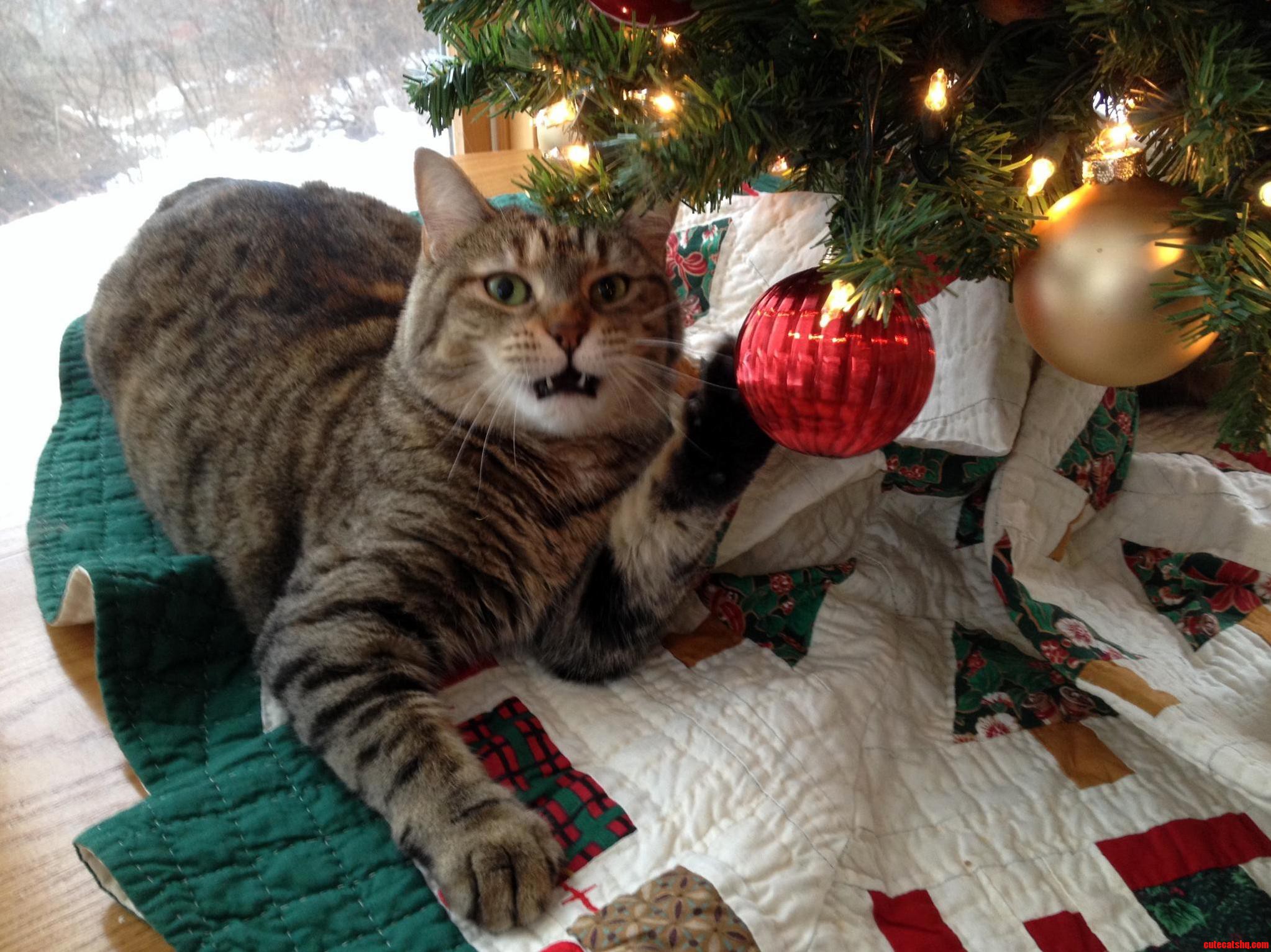 This Is My Ornament