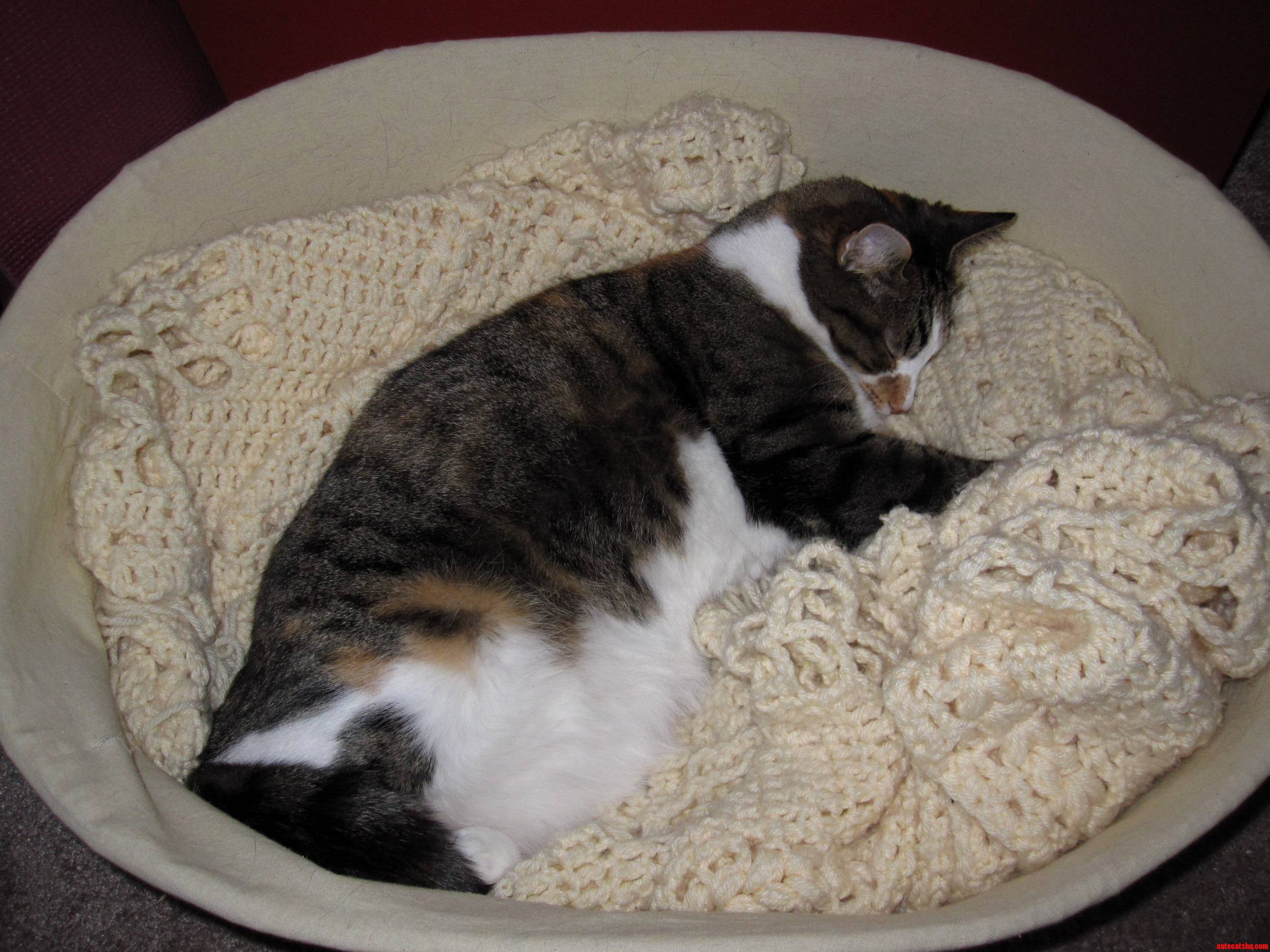 This Looks Like a Nice Place for a Nap