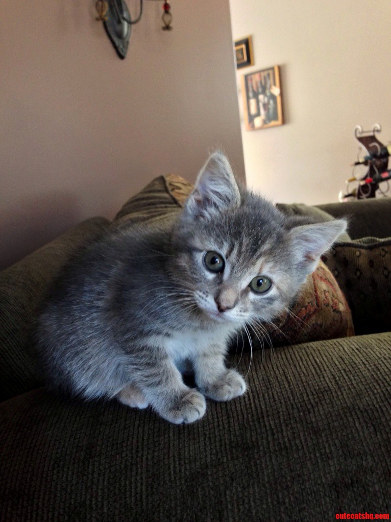 This Was My Favorite Picture of My Old Friend Annie.