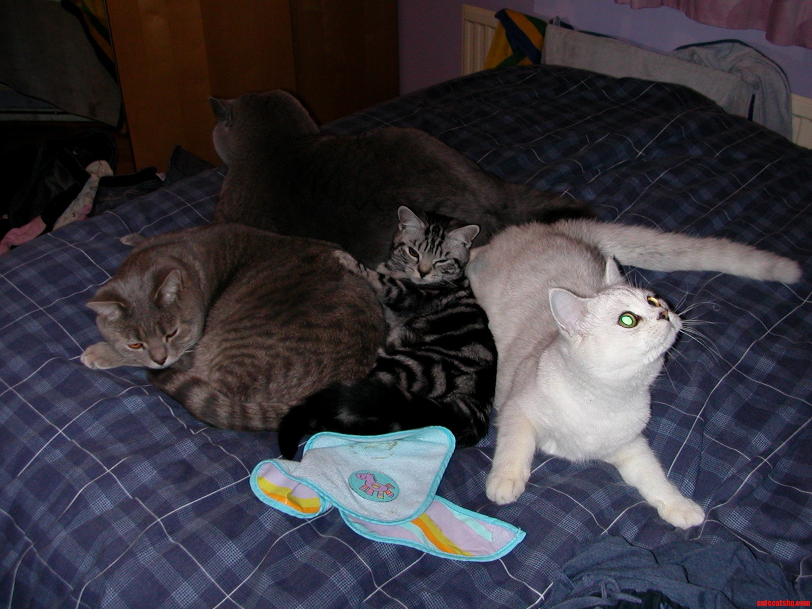 This Was the Only Time That the Four of Them Were Together.